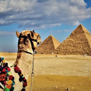 Camel ride tour around Giza Pyramids