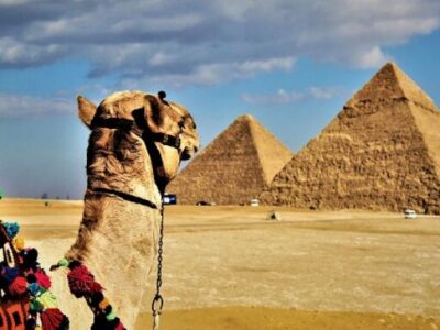 Camel ride tour around Giza Pyramids